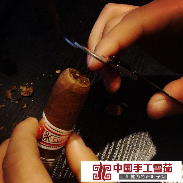 蒙特克里斯托(MONTECRISTO)丘吉尔ANEJADOS（25）雪茄