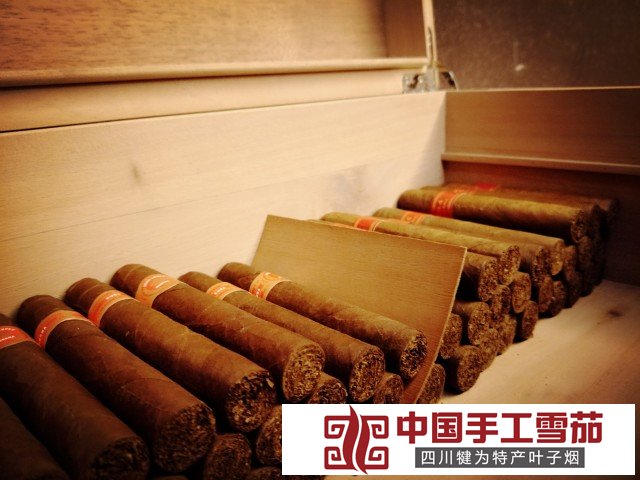 蒙特克里斯托(MONTECRISTO)丘吉尔ANEJADOS（25）雪茄